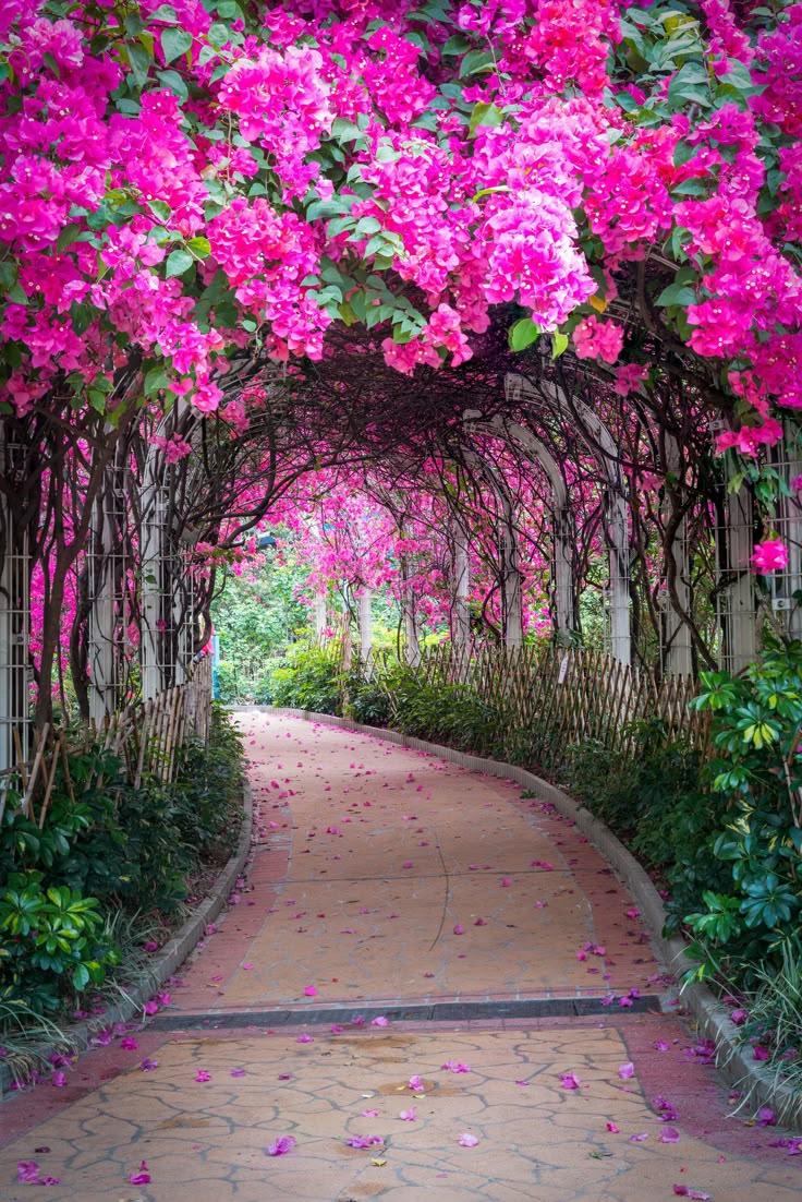 Enchanted Meadow Blossoms Symphony